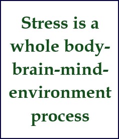 Stress is in your body